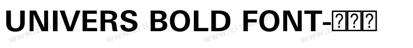 UNIVERS BOLD FONT字体转换 UNIVERS BOLD FONT字体转换